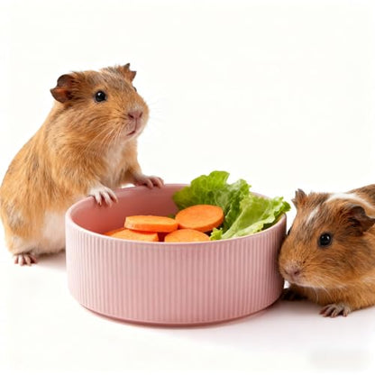 Guinea Pig Vegetable Bowl, 6 in Pink Ceramic Shallow Dish | Weighted Base, Approx. 20 fl oz Capacity, For Guinea Pigs, Chinchillas, Rabbits And Ferrets, Food Or Water