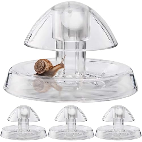 4Pcs Snail Trap 2.36x2.36in Clear White Plastic Aquarium Snail Trap Catch Box for Aquarium Fish Tank Accessories