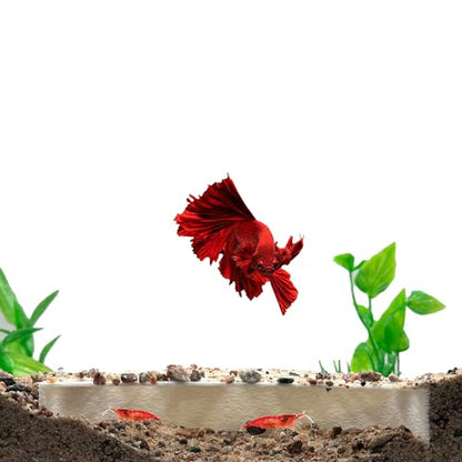 Shrimp Breeding Protector, Shrimp Hide Tunnel, White | Aquarium tunnel creates a sheltered breeding cave for dwarf, cherry and baby shrimp while helping protect young shrimp. - color: White