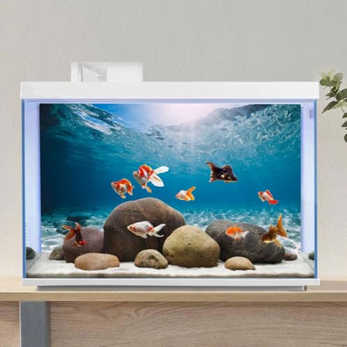 AWERT 60x24 in Aquarium Backdrop Undersea Ocean Floor Fish Tank Background | AWERT Clear Underwater Seabed Theme Vinyl Terrarium Background - size: 60x24in/150x60cm
