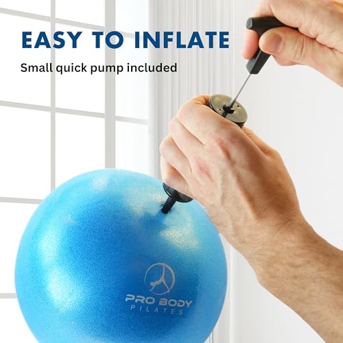 ProBody Pilates 볼 펌프 포함 소형 운동 공, 22.9cm(9인치) 바레 볼, 미니 소프트 요가 볼, 안정성을 위한 운동 공, 바, 피트니스, 복근, 코어, 물리 치료 및 물리 치료 공, 가정 체육관 및 사무실 - color: 아쿠아