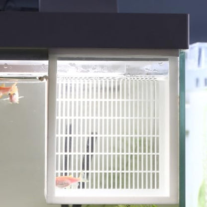 Fry Isolation Box,Aquariums Fishing Fry Isolation Box for Secure Habitat Bettas Fry Ventilation Holes Oxygen Flows Easyly Install - color: Black
