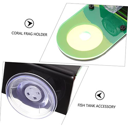TOYANDONA 2 Pcs Fluorescent Acrylic Coral Breeding Bases for Aquarium Coral Holder Rack for Soft and Hard Cultivation Practical Fish Tank Support Brackets