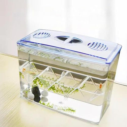 Baoblaze Fish Breeding Box Fish Isolation Box Separation Easy Use Multipurpose Fish Tank Hatchery Incubations Box for Shrimp Baby Fish