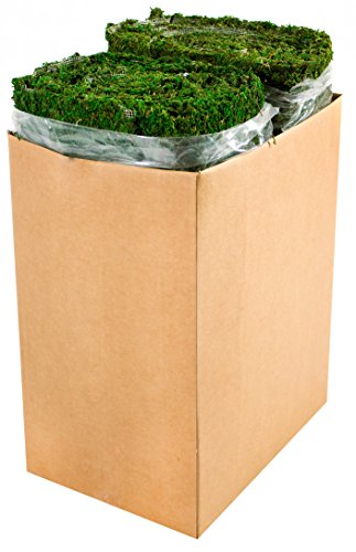 SuperMoss (22432 InstantGreen Moss Mat, Fresh Green, 1.5ft x 48ft - color: Fresh Green, size: 1.5ft x 48ft