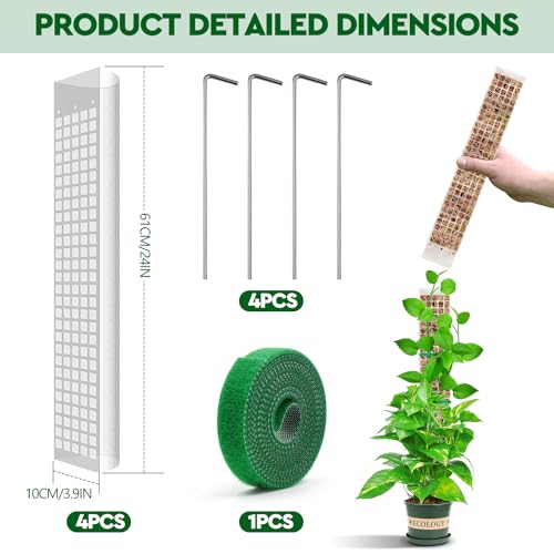 YSKS 4 Pcs 24-inch Plastic Moss Poles for Plants ，Moss Poles for Climbing Plants, Indoor Plant Support Work with Sphagnum muss