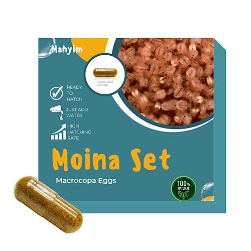 Two Capsule Moina MACROCOPA Water FLEA Eggs Alive Fresh for Killifish/Fish