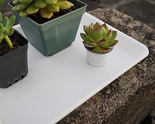 VUWEZ Rectangle Plant Tray, Plant Drip Tray, Plant Pot Saucers, Plant Germination Trays, Plant Saucers, 14.5'' x 11'' x 1.5'' (2 pack), Creamy White - color: Creamy White, size: 14.5'' x 11'' x 1.5'' (2 pack)
