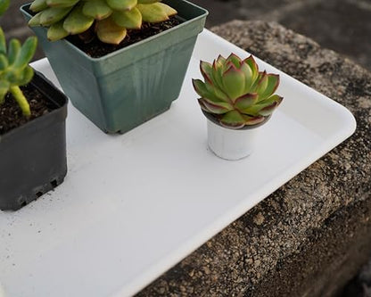 VUWEZ Rectangle Plant Tray, Plant Drip Tray, Plant Pot Saucers, Plant Germination Trays, Plant Saucers, 14.5'' x 11'' x 1.5'' (2 pack), Creamy White - color: Creamy White, size: 14.5'' x 11'' x 1.5'' (2 pack)