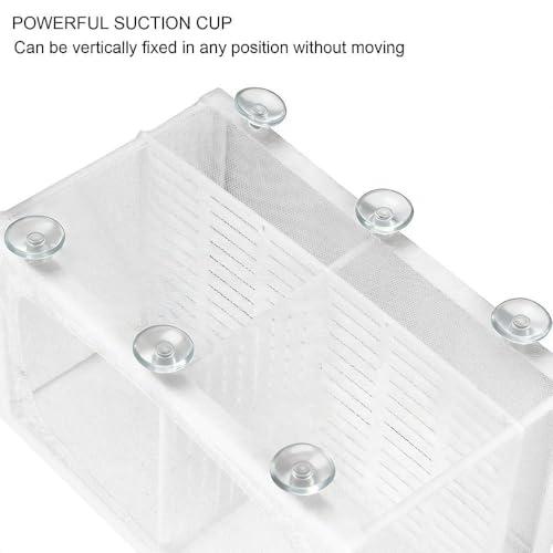 Aquarium Breeder Box with Suction Cups Partition Design Detachable Isolation Hatchery for Fish Fry Tank Breeding(L with Partition) - size: L (with Partition)