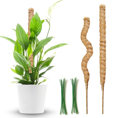 2 Pack Moss Pole,27.6 Inch Moss Poles for Plants Monstera Bendable Plant Stakes for Indoor Coco Coir Pole Climbing Plant Support Stakes for Creeper Plants Grow Upwards