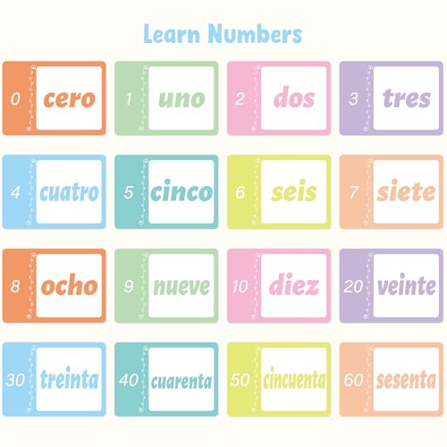 Ceiba Tree Spanish Flash Cards 100 English to Spanish Verb Conjugation Phrases Adjectives Colors Educational Bilingual Flashcards Learn Español for Kids Adult Beginners Toddlers Grade School Classroom