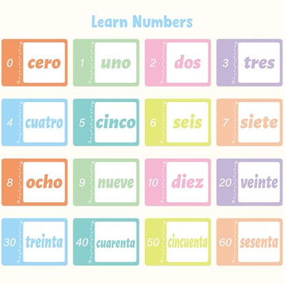 Ceiba Tree Spanish Flash Cards 100 English to Spanish Verb Conjugation Phrases Adjectives Colors Educational Bilingual Flashcards Learn Español for Kids Adult Beginners Toddlers Grade School Classroom