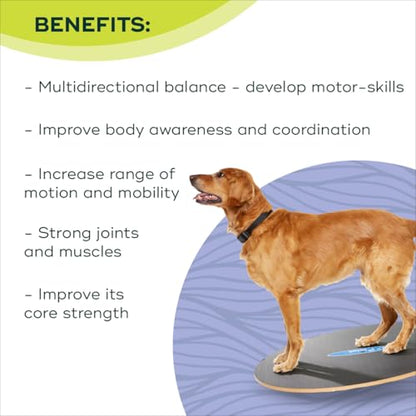 FitPAWS Wobble Board - Dog Balance Training Equipment for Core Strength & Stability Canine Fitness & Rehabilitation Tool 36" - size: 36"