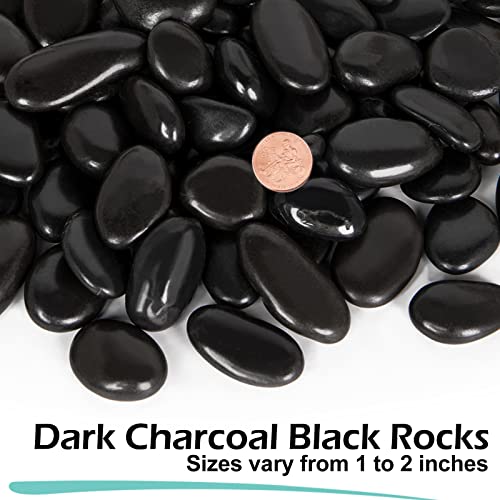 GASPRO 30 Pound River Rocks, Decorative Stones for Walkways, Outdoor Landscaping, Garden, Yard, 1 to 2 Inch, Black Polished Pebbles for Planters, Flower Beds, Vase - size: 30lb