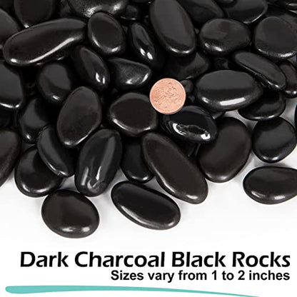 GASPRO 30 Pound River Rocks, Decorative Stones for Walkways, Outdoor Landscaping, Garden, Yard, 1 to 2 Inch, Black Polished Pebbles for Planters, Flower Beds, Vase - size: 30lb