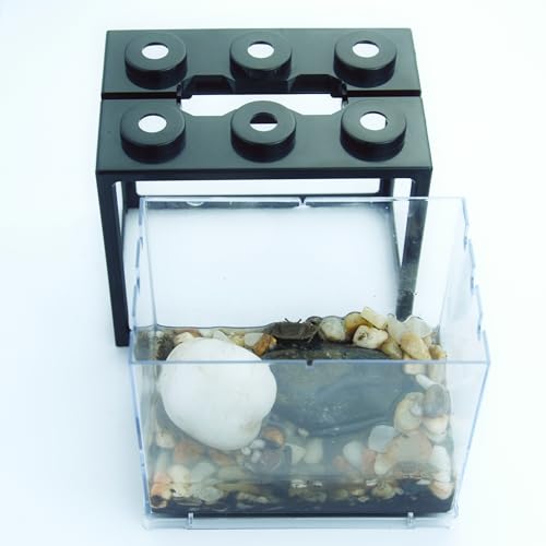 Small Sea Monkey Tank, Stackable Mini Betta Fish Tank Tinny Aquarium Kit with Aquarium Gravel, Moss Ball Tank Shrimp Tank 0.27 Gallon Acrylic Cube Fish Bowl for Shrimp Snails - color: Black
