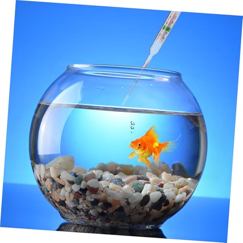 1set Hydrometer Tester with Graduated Cylinder for Accurate Sea Water Measurement for Aquariums and Seafood Tanks