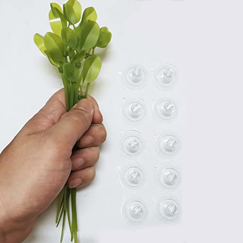 Aquarium Suction Cups and Leaf-Shaped Adjustable Cable Ties for Binding Moss Shrimp Dodging Nest, Suction Cups with Holes Aquarium Plants Holder (12)