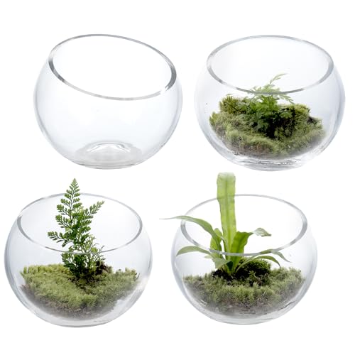 MyGift 5 Inch Clear Glass Round Bowl Air Plant Terrariums, Set of 4 | Versatile glass vessels showcase plants, candles, and decorative accents for weddings, events, shelves, and tabletop displays - size: Set of 4 (Round)