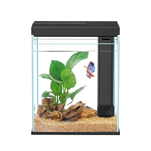 Betta Fish Tank, 2 Gallon Glass Aquarium Starter Kit, Small Fish Tank with Filter and Light. - color: Black, size: 2 Gallon