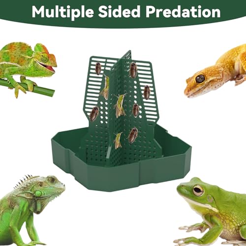 Chameleon Feeder Bearded Dragon Feeder for Mounted Insect（Medium） | Plastic,Anti-Escape,Crested Gecko Tank Accessories,with Rope and Tweezers,for Lizard Bearded Dragon Gecko Frog - size: Medium