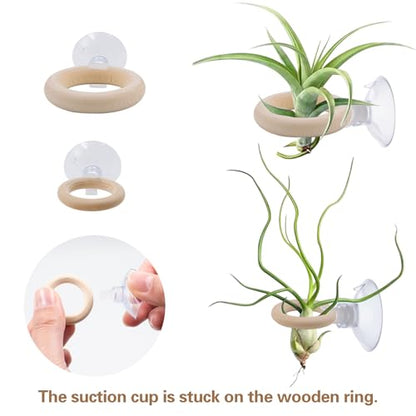 20 PCS Air Plant Holder Suction Cup, 2 Sizes Small Wooden Tillandsia Hanger with Suction Cups for Smooth Glass, Tile, Window, Metal Surface Home Decor Display (Plants Not Included)