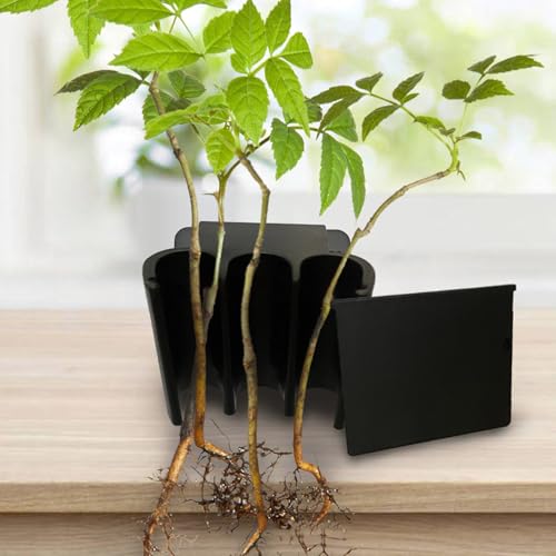 Adjustable Aquariums Hydroponic Shelf for Multiple Fish Tanks Size High Strengths ABS Materials with Easyly Installation