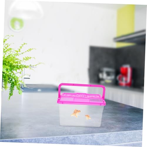 Toyvian 4pcs Transparent Mini Fish Tank Portable Pet Carrier with Handle Versatile Breeding Box for Fish Turtles and Small Reptiles Stable Multifunctional Design for Travel and Decoration