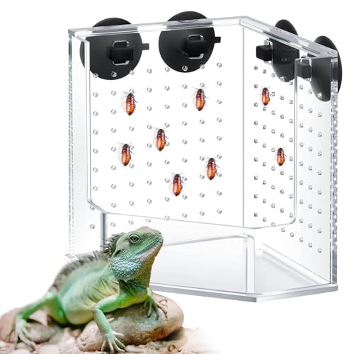 Weysat Reptile Corner Hunting Bowl, Transparent Acrylic Reptile Feeder Box with 4 Suction Cups, Tank and Aquarium Accessories for Lizard Bearded Dragon Chameleon Gecko Frog, 3.9 x 3.9 x 6.1 Inches