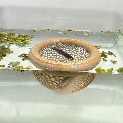 Aquarium Floating Betta Fish Skins, Betta or Shrimp Feeder, Cave and Hammock, Small Fish Feeding Rings, Aquarium Hiding Feeding Decorative Accessories (Wood Color) - color: Wood color
