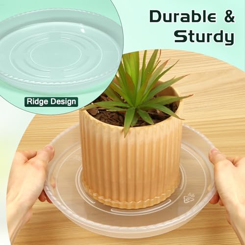 5 Pack 5 Inch Clear Plant Saucers, 5 7 9 11 13 15 Inch Plastic Plant Trays for Flower Pots Plant Drip Water Catcher Tray Indoors Outdoor (5 Inch) - size: 5 Inch