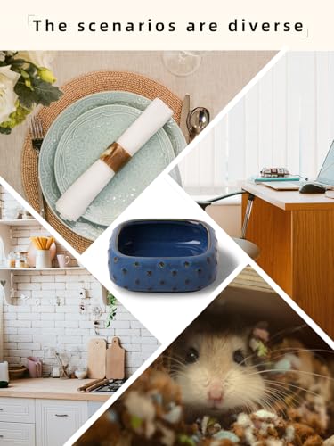 2-Pcs Ceramic Reptile Food Bowl, Mini Reptile Feeder (Farmhouse Blue) | Stable Base Design, Smooth Surface for Easy Cleaning, Safe Feeding Solution, Compact Habitat Accessory, Everyday Use - color: Farmhouse Blue