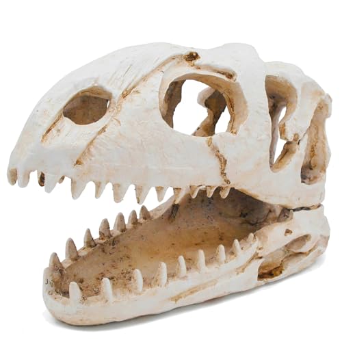 Dinosaur Animal Skull Aquarium Large Décor Cave Decorations Fish Hideout Tank Betta Tarantula Reptile Snake for Terrarium Decor Ornament Bones Halloween - color: Velociraptor