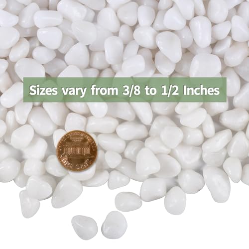 30lb White Polished Pebbles for Plants, 3/8 inch Decorative Rocks | Small Stones for Potted Planters, succulents, Vases, Landscaping Drainage and Outdoor Gardening - size: 30lb, style: White