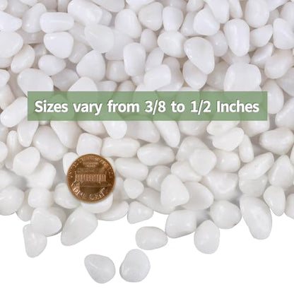 30lb White Polished Pebbles for Plants, 3/8 inch Decorative Rocks | Small Stones for Potted Planters, succulents, Vases, Landscaping Drainage and Outdoor Gardening - size: 30lb, style: White