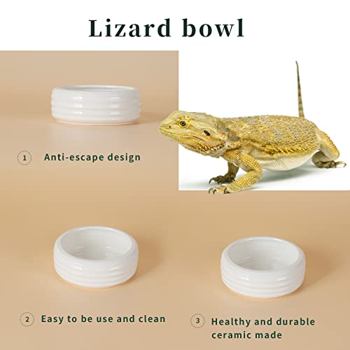Reptile Food Bowls Ceramic Round Reptile Water Food Dish, Pet Food Bowl for Lizards, Small Snakes, Young Bearded Dragons, Gecko Tortoise Spider (White, Medium-1Pack)