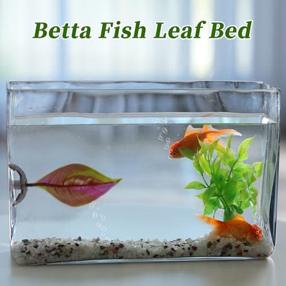 Betta Fish Bed, Betta Leaf Bed, Silicone Betta Hammock, Betta Hammock Pad with Suction Cup, Glowing Aquarium Decor Betta Fish Supplies, Red 1set