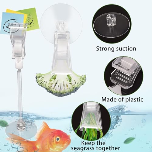 6 Pack Veggie Aquarium Seaweed Clips Fish Food Holder Wide Mouth Clips Plants Suction Cups Algae Clip for Freshwater and Marine Fish Tank (Small Clip) - size: Small