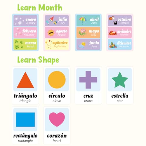 Ceiba Tree Spanish Flash Cards 100 English to Spanish Verb Conjugation Phrases Adjectives Colors Educational Bilingual Flashcards Learn Español for Kids Adult Beginners Toddlers Grade School Classroom
