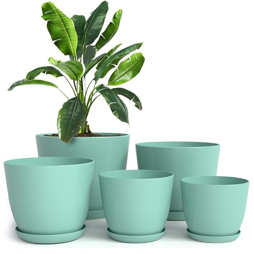 Plant Pots Indoor with Drainage, 5 Pack Multi-Size Planters Set, Aqua | Drainage holes included Multiple sizes 7/6.6/6/5.3/4.8 In Indoor plants and flowers Durable plastic construction - color: Aqua, size: Pack of 5