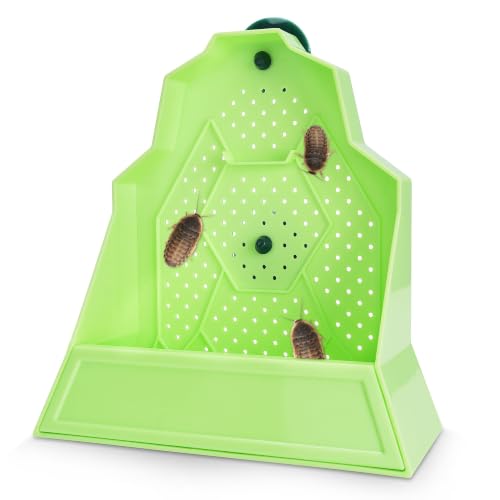 Reptile Anti-Escape Feeding Bowl, Wall-Mounted Feeder for Reptile, Stimulate Hunting Accessories for Terrarium, Vivarium and Paludarium, Suitable for Lizard, Gecko & Frog, Medium - color: Wall-Mounted Feeding Bowl, size: Medium