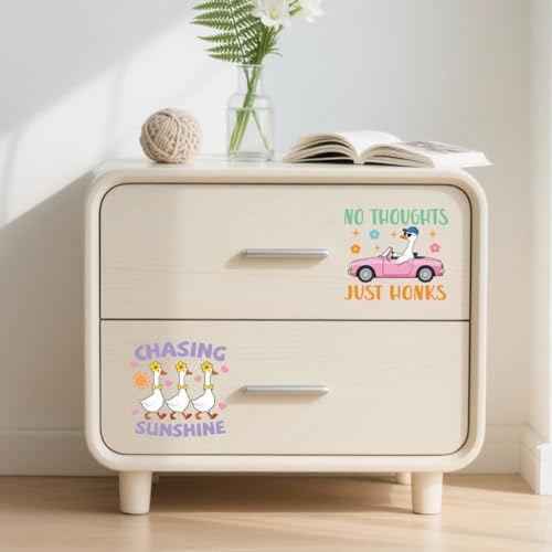 Peacoblue 18 Sheets Rub on Transfers for Crafts, Funny Goose with Word 3.6"x3.9" UV DTF Cup Wraps Waterproof Rub on Cold Transfers Stickers for Wood Glass Metal Cup Tumblers Mirrors Mugs Home Decor - style: Funny Goose with Word