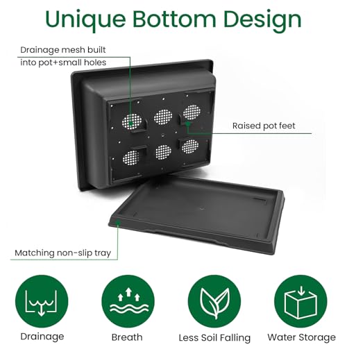 GROWNEER 3Pcs 18 Inch Bonsai Training Pots with Drainage Humidity Trays & Repotting Mat, Large Bonsai Tree Pot Kits for Starter, Succulent Growing Planter Set for Garden Indoor Outdoor - size: 3pcs/18x14in