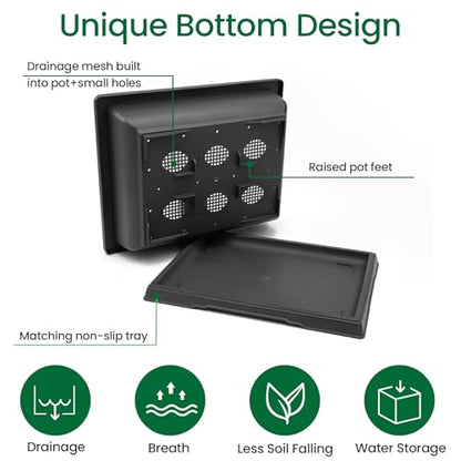 GROWNEER 3Pcs 18 Inch Bonsai Training Pots with Drainage Humidity Trays & Repotting Mat, Large Bonsai Tree Pot Kits for Starter, Succulent Growing Planter Set for Garden Indoor Outdoor - size: 3pcs/18x14in