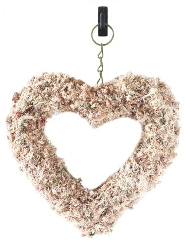 SuperMoss (22361) Living Wreath for Indoor and Outdoor Decor – Soil-Free Sphagnum Moss Wreath for Succulents, Plants, and Flowers – DIY Garden Craft for Front Door or Wall, 11”, Heart - size: 11"