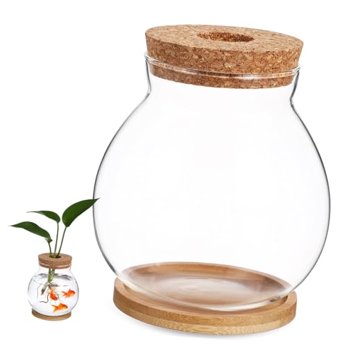 DOITOOL Small Glass Fish Bowl with Lid, Hydroponic Mini Fish Tank 10x11cm, Glass Aquarium with Mat for Desktop Office and Home Terrarium