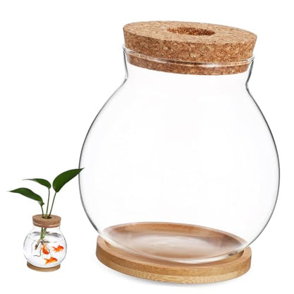 DOITOOL Small Glass Fish Bowl with Lid, Hydroponic Mini Fish Tank 10x11cm, Glass Aquarium with Mat for Desktop Office and Home Terrarium