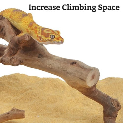 VCEPJH Snake Climbing Branch, 2Pcs Reptile Wood Natural Cork Log Tank Accessories Tree Trunk for Chameleon Bearded Dragon Gecko Snake Frog Spider - size: Grape Wood (L:13.7"-15.7"-2pcs)