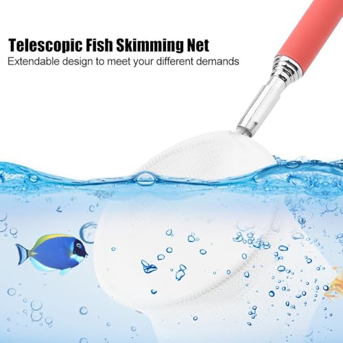 Green/Red Square Round Metal Aquarium Fish Net Mini Size Extendable Telescopic Fish Shrimp Landing Net Aquarium Fish Tank Tool - style: Red Round